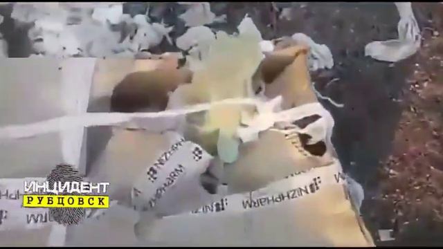 Свалку медицинских отходов обнаружили в Рубцовске смотреть онлайн