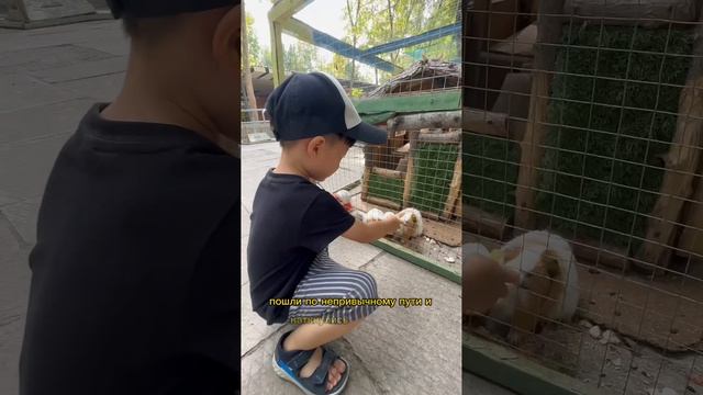Контактный зоопарк внутри обычного в Ташкенте
