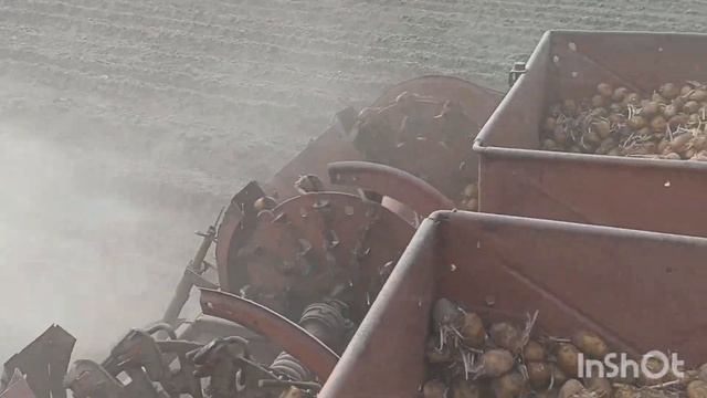 Посадка КАРТОФЕЛЯ 2023. МТЗ 80 и картофелесажалка СН-4Б. смотреть онлайн