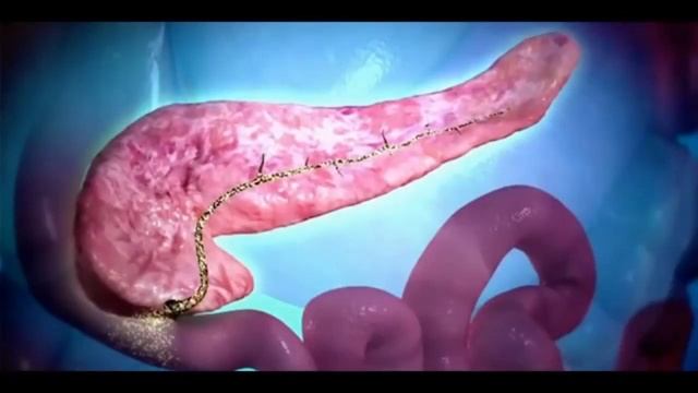 Что происходит с телом после смерти 18+. Интересные факты смотреть онлайн