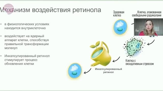 40872 Сыворотка концентрант антивозрастного действия с ретинолом NovAge Proceuticals смотреть онлайн