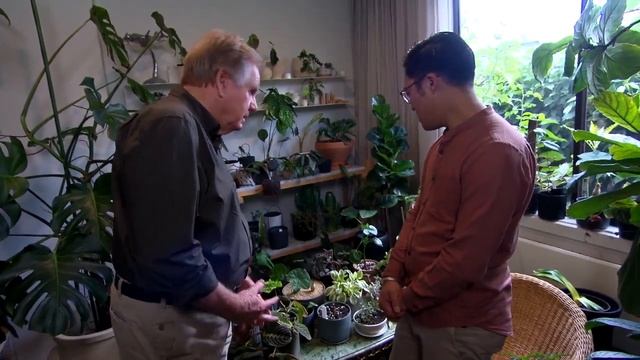 Potted Plants 101 | GARDEN | Great Home Ideas смотреть онлайн