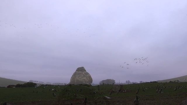 Alone With the Barnacles - Goose Hunting Sweden смотреть онлайн