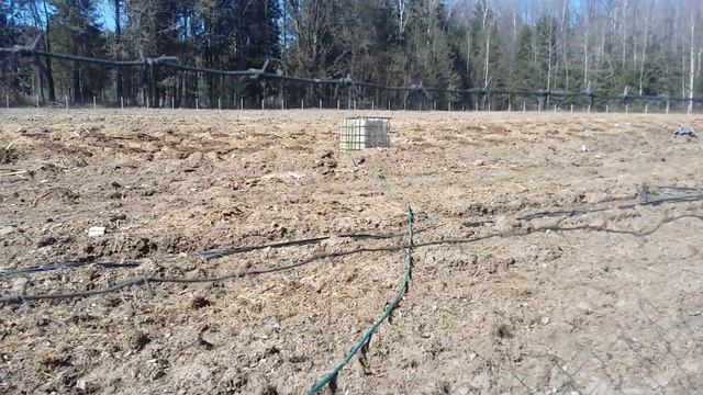 Голубика.Забор воды на плантацию из болота. смотреть онлайн