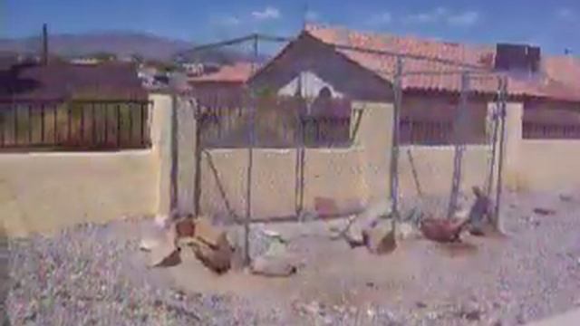 kodak easyshare c330 video test смотреть онлайн