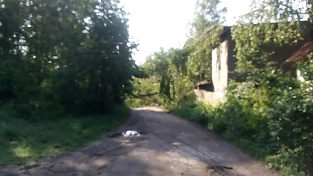 Ураган с сильным дождем в Санкт- Петербурге июнь 2020 года смотреть онлайн