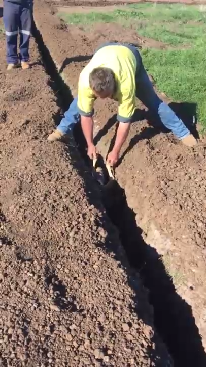 Спасение кенгуру смотреть онлайн