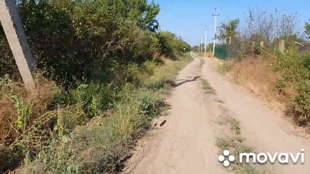 #Ейск?Идём в гости к Надежде! Дачи))) смотреть онлайн