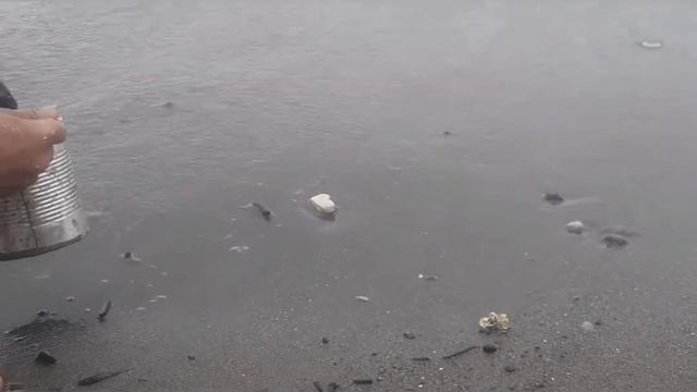 Lifehack for fishing/How easy find seaworm /Лайфхак для рыбалки - как найти и поймать морских черве смотреть онлайн