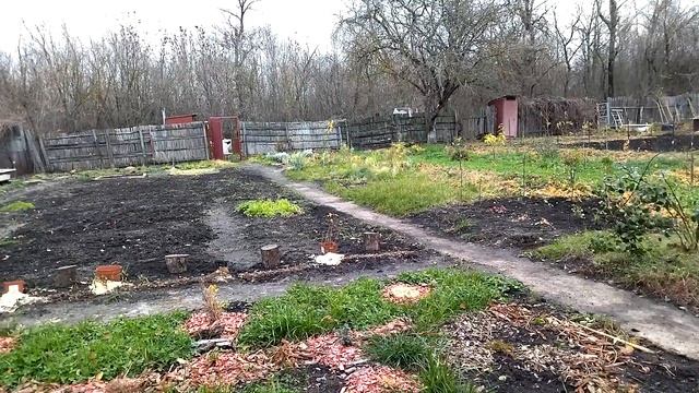 На даче 12 ноября 2022г. Готовимся к зиме. смотреть онлайн