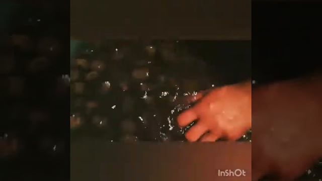 Дизайн и Графика