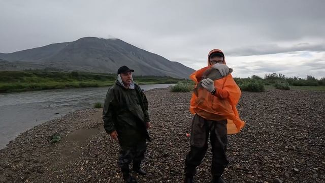 Полярный Урал Ния Ю смотреть онлайн