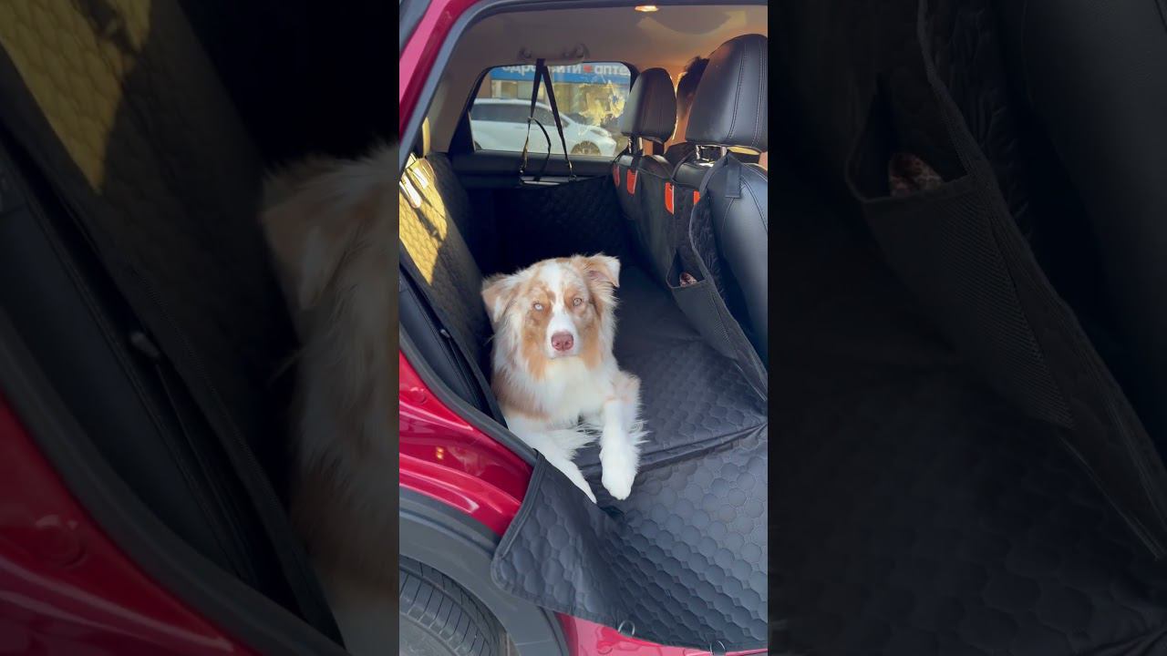 22 августа 2024 г. смотреть онлайн