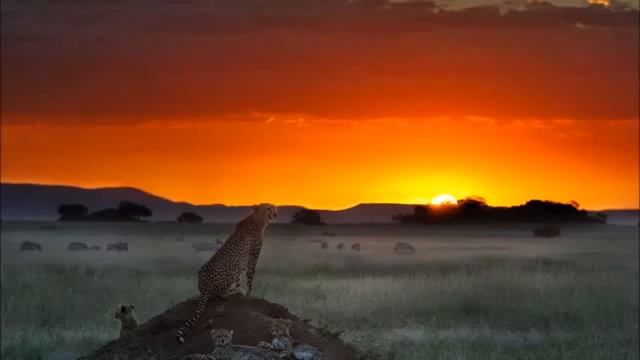 Омар Хайям - Рубаи смотреть онлайн