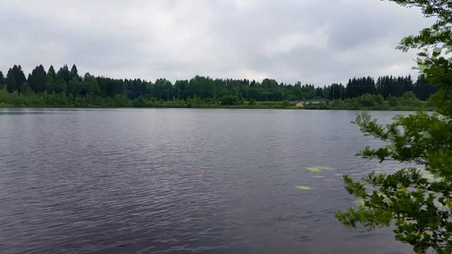 [RZD] EVS "Sapsan" near the lake Vyaloe / "Сапсаны" у озера Вялое. смотреть онлайн