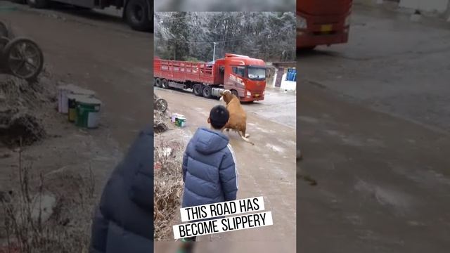 Каток смотреть онлайн