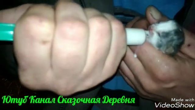 Дурная кошка бросила котят. смотреть онлайн