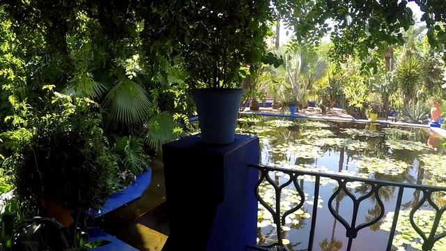 Majorelle, Marrakesh, Morocco. Сад Мажорель. Марракеш. Марокко смотреть онлайн