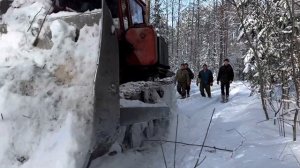 ЗАГОТОВКА ЛЕСА 2023! МТЗ 82 & ДТ 75