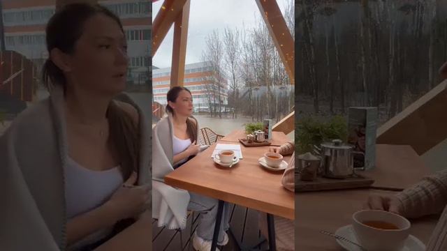 РАСТЕНИЯ-УЧИТЕЛЯ 🍄🔥что это такое? смотреть онлайн