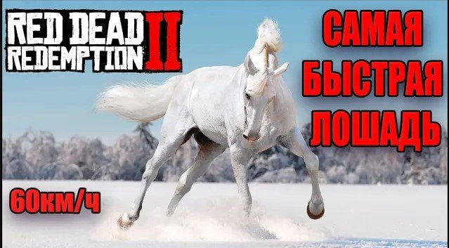 РДР2 АРАБСКАЯ ЛОШАДЬ. Самая быстрая лошадь в RDR2. смотреть онлайн