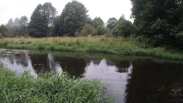 Крупные голавли на малой реке смотреть онлайн