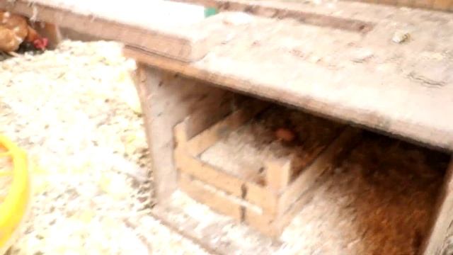 Строим современный курятник ч.43 Зимний отчет. смотреть онлайн