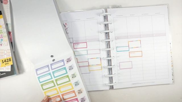 Students FOUND My YouTube?! | Happy Planner CLASSIC HOURLY Plan With Me | February 14 - February 20 смотреть онлайн