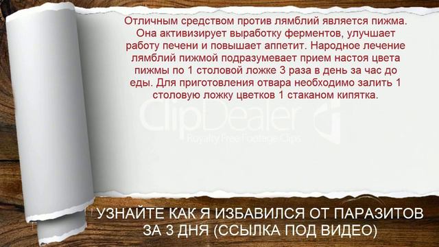 Рецепты против лямблий смотреть онлайн