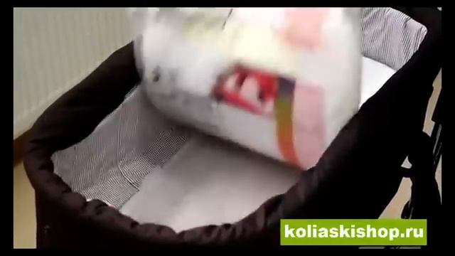 Teutonia Elegance смотреть онлайн