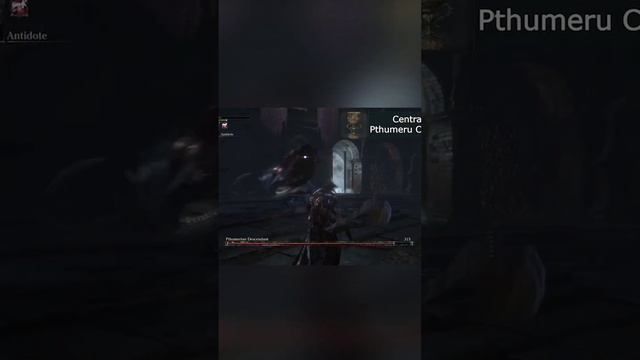 BEATING SOULS GAME BOSSES 'TILL ELDEN RING DLC COMES OUT | DAY 2 смотреть онлайн