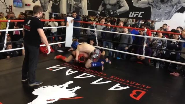 Никита Анаконда Орлов в ММА 11 февраля 2017г. смотреть онлайн