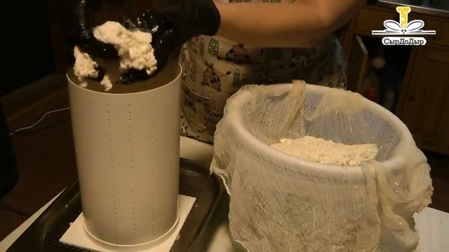 Горгонзола - сыр с голубой плесенью своими руками смотреть онлайн