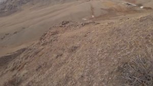 Шикарная охота на кеклика. Трудно, но интересно. Часть 1