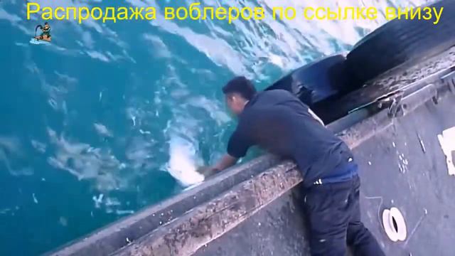 Воблер зип бейтс орбит 110 уловистые цвета смотреть онлайн