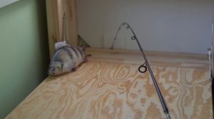 Как выбрать СПИННИНГ для твичинга за 5 минут!