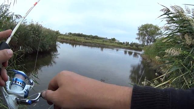 Рыбалка на ультралайт 2020 насадка слаги, попал на жор окуня смотреть онлайн