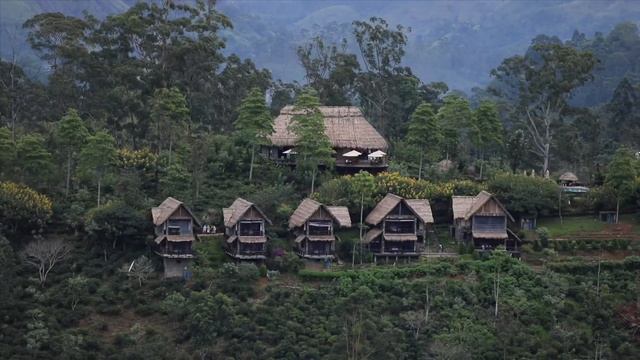 Шри Ланка- Малый Пик Адама, Элла. Водопады и Горы, Железная дорога. 2019 год смотреть онлайн