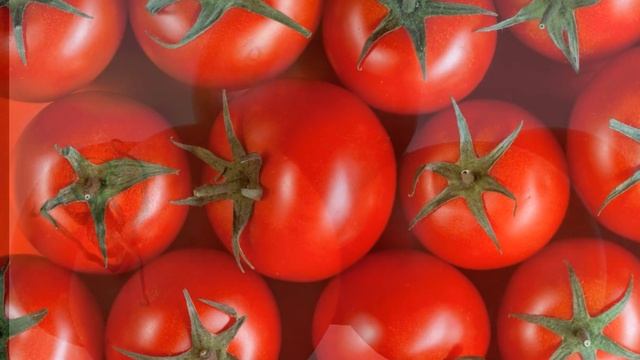 Интересные факты о помидорах смотреть онлайн