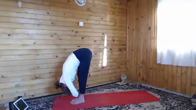 йога дома смотреть онлайн