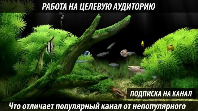 Чем отличается популярный YouTube канал от непопулярного New New 17 смотреть онлайн