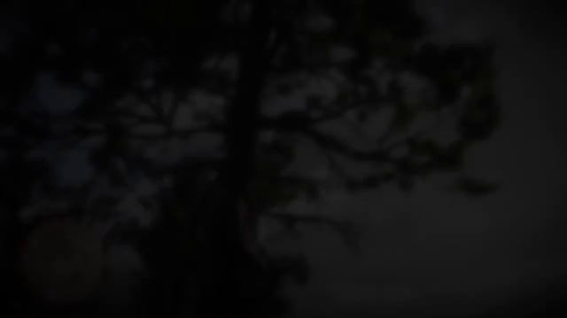 Яйцо Ястреба (пн пт) резервация индейцев Вапити смотреть онлайн