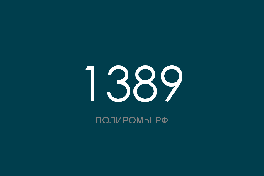 ПОЛИРОМ номер 1389 смотреть онлайн