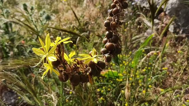 Прогулка в горы Греция смотреть онлайн