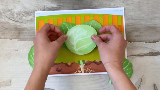 Объёмная аппликация из бумаги овощи/ капуста из бумаги своими руками, поделка, летние поделки смотреть онлайн