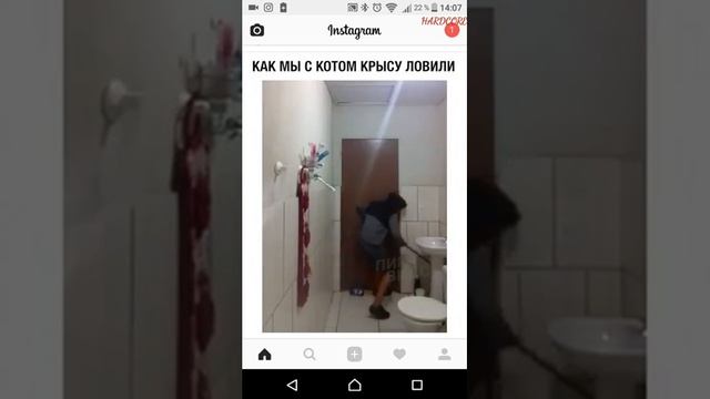 Как мы с котом ловили крысу. Угар смотреть онлайн