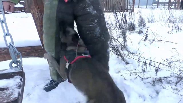 Мондьоринг СДП зеленые горы. Сергей Воропаев смотреть онлайн