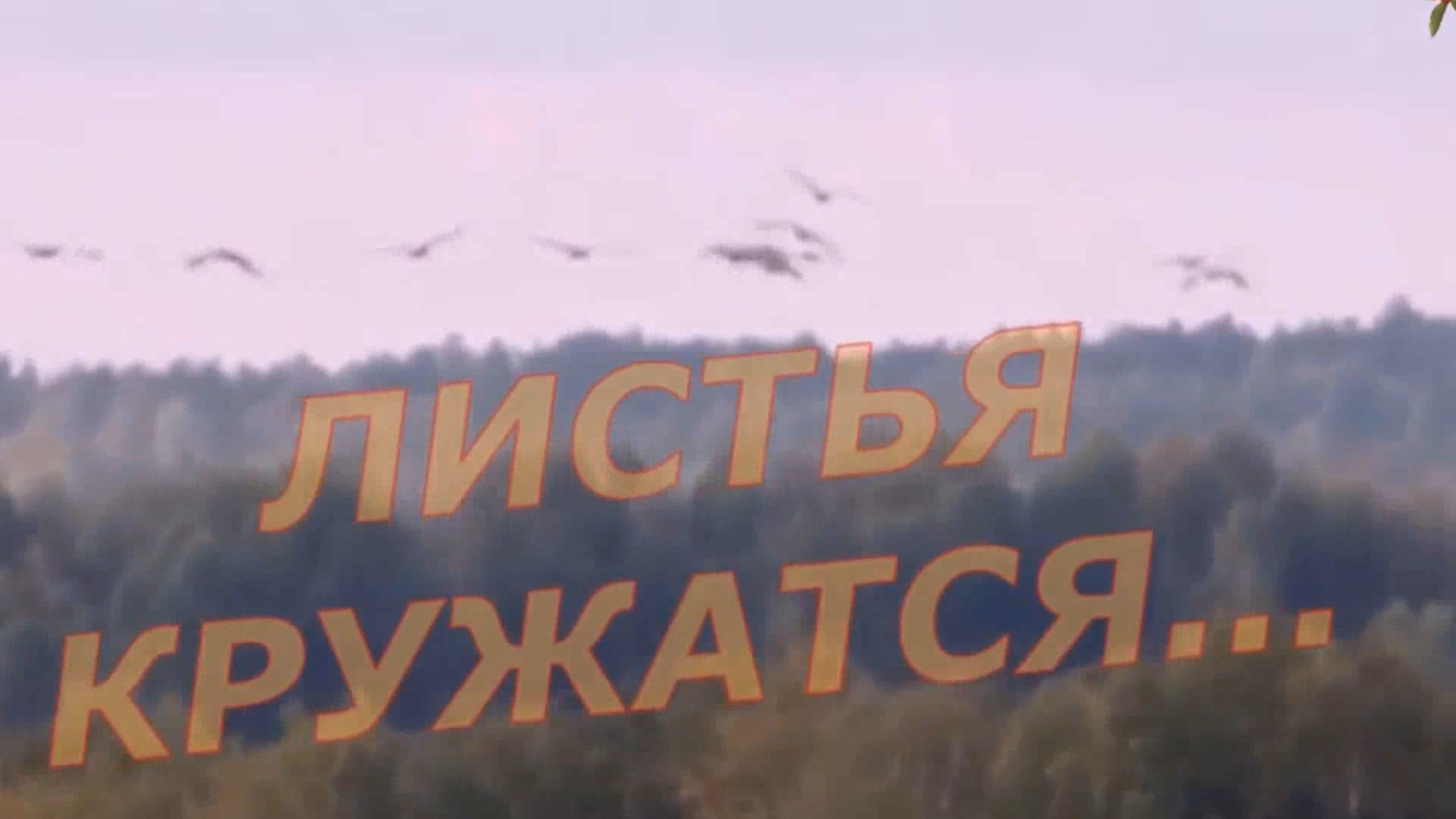 Андрей Картавцев - Листья кружатся! смотреть онлайн