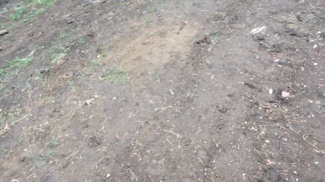 На трубопроводе Омск Иркутск в Красноярском крае РВС смотреть онлайн