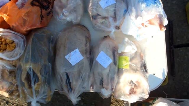 Гуси (гусятина), утки. Ярмарка. Цены. смотреть онлайн